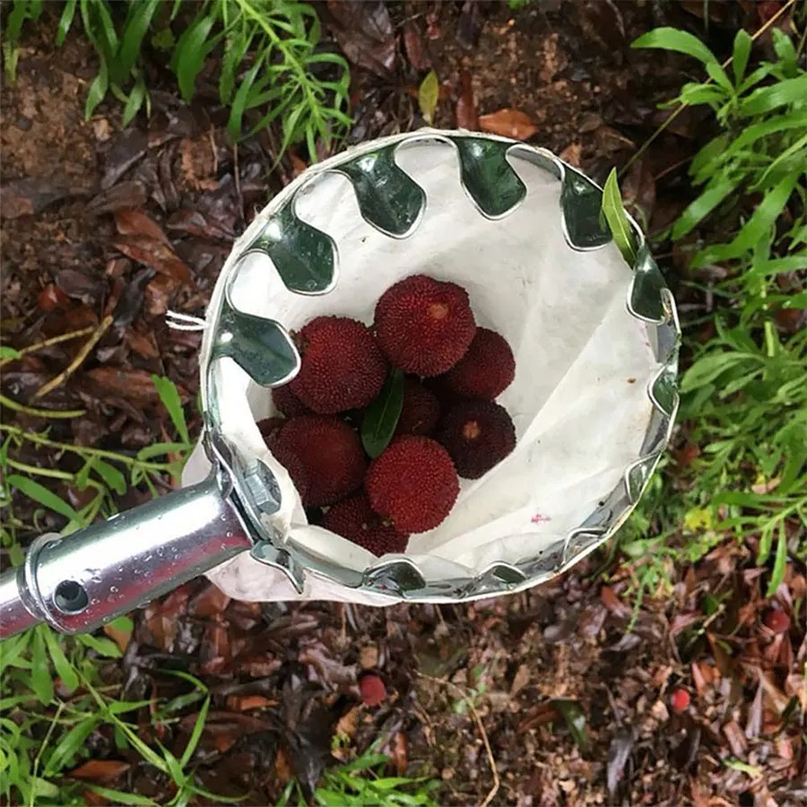 3-in-1 Fruit Harvesting Tool S - огляд і ціна Grow Bag